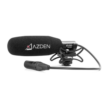 Video camera mic