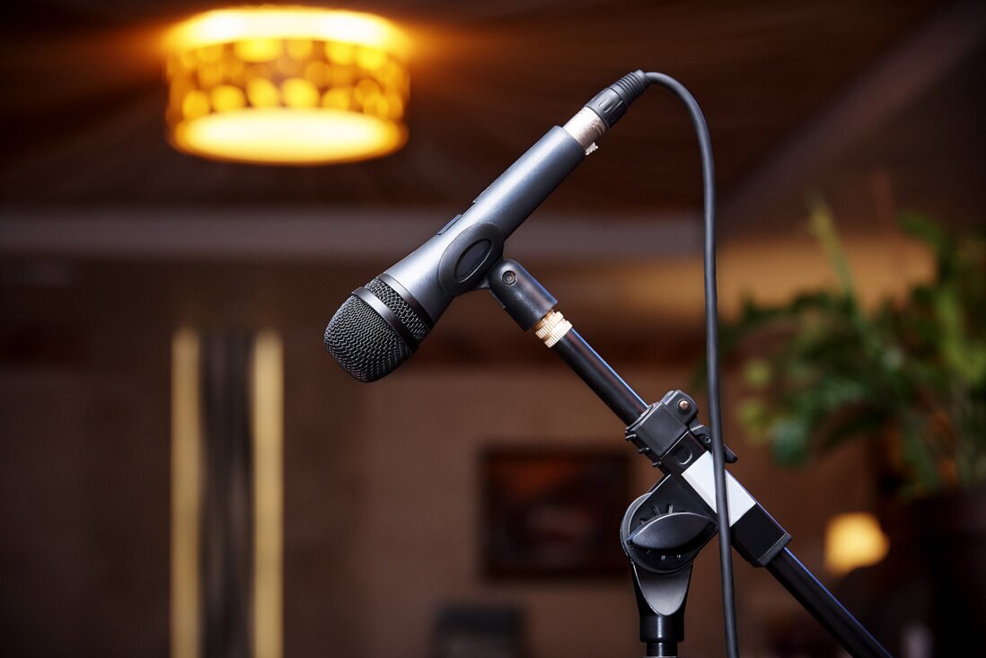 Professional wireless microphone